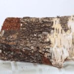 Brennholz 40 Säcke trockenes Holz – 100 % Asche – 8 kg – Image 3