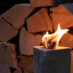 1 RM Buchenbrennholz 30 cm – Image 2