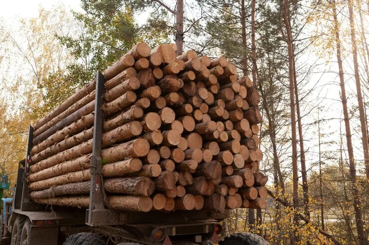 grume-camion-de-25-steres-1 Buchenstämme, LKW-Ladung von 25 Kubikmetern – Image 1