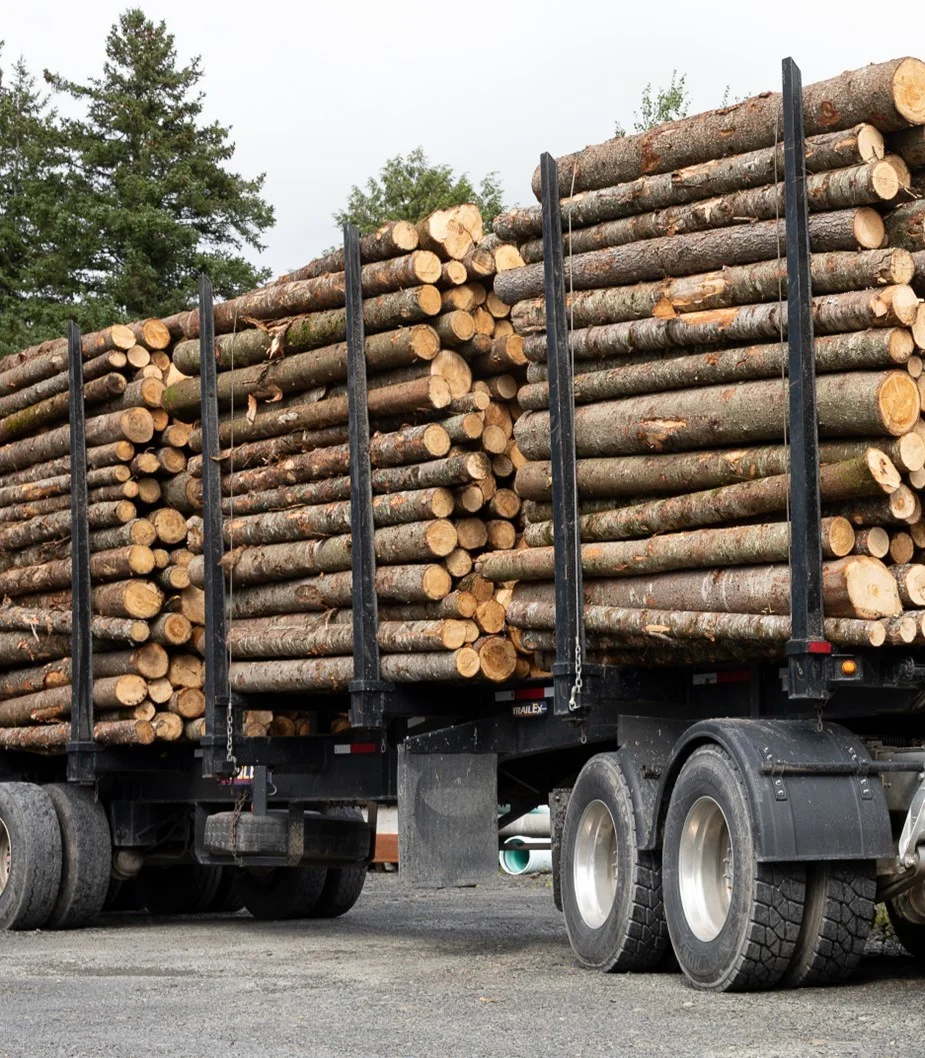 grume-camion-de-25-steres Kastanienstämme, 50-Stère-LKW-Ladung – Image 1